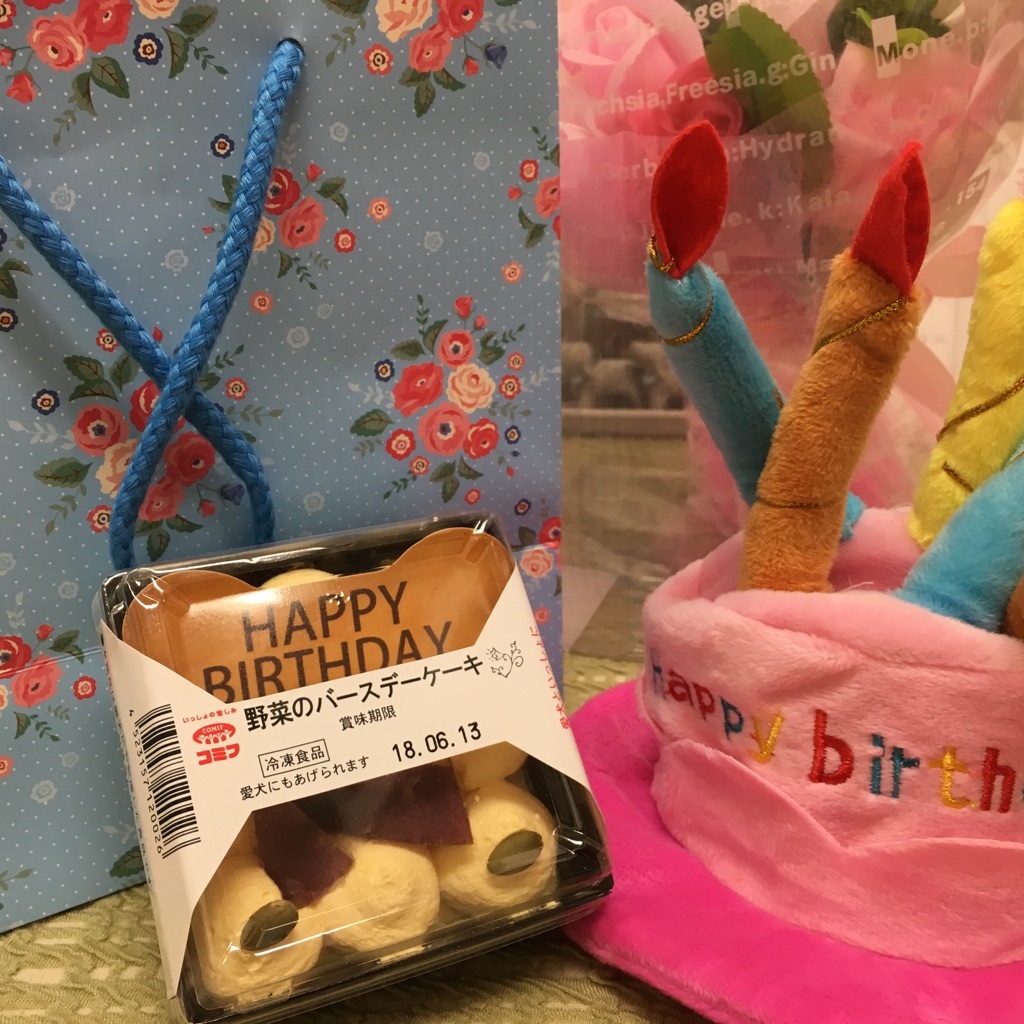支援物資をありがとうございます😃今日はちゃこちゃん💕のお誕生日🎂です🎉
